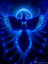 ★⭐Mazin Pro⭐★'s picture