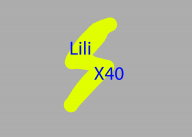 liliX40's picture
