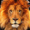 avatar/45936 image