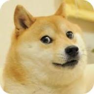 Doge's picture