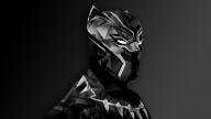 Black Panther's picture