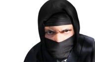 Ninja's picture