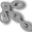 Chain.ani