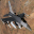 F-16-031CJp.cur