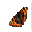 pt-papillon[1].cur