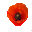coquelicot.cur