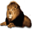 lioncito.ani