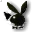 mouseforpig.ani
