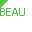 BEAU BLOGS.ani