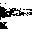 not_set.cur