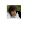 not_set.ani