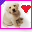 doggie.ani