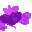 not_set.ani