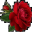 not_set.cur