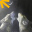 cursor 6279
