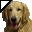 cursor 7179