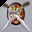 cursor 8427