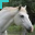 cursor 8458