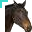 cursor 8459