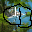 not_set.cur