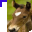 Horse 20.cur
