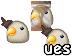 Birb Teaser