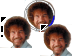 Bob Ross collection