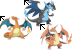 Charizards & CO. Teaser