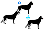 Dog Tink Teaser