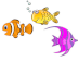 fishes