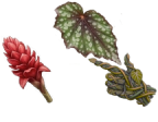 BloodArt : GardenPlayground Cursor Set thumbnail