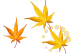 cursor-teaser/golden-maple-leaf.png image