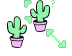 Green cactus