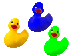 multicolourful ducks!