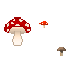 Mushroom Teaser