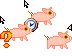 pig pack Teaser