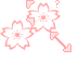 Pink Flower Kawaii