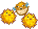 Pufferfish Teaser