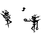 Roaring Knight Teaser