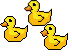 Rubber Ducks Teaser