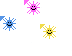 Virus and bacteria cells