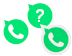 Whatsapp Teaser