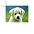 Cursor De Cachorro.cur