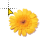 yellow flower normal select.cur Preview