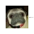 English Bulldog.cur Preview