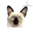 cat head II left select.cur Preview