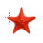 Starfish normal select.cur Preview