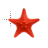 Starfish normal select.cur