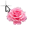 Pink Rose.cur