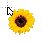 Sunflower.cur